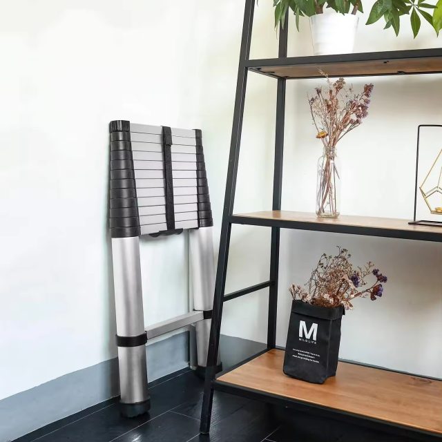 High quality telescopic ladder (3) High quality telescopic ladder (3)